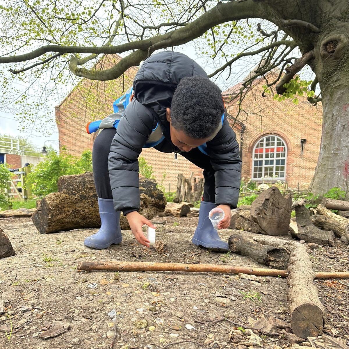 Mulberry Primary tweet media