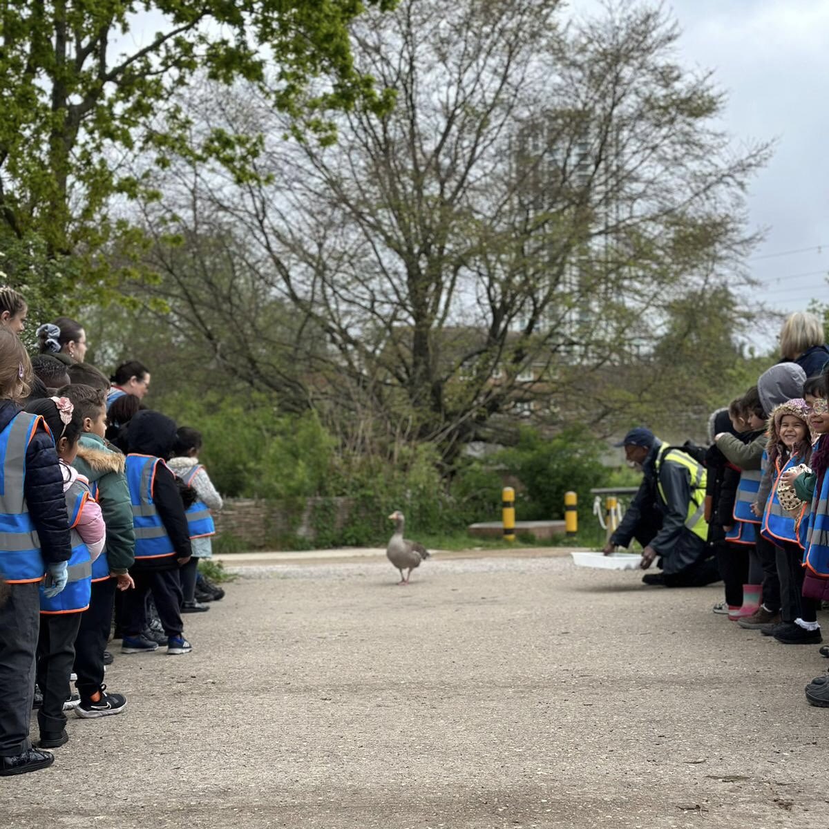 Mulberry Primary tweet media