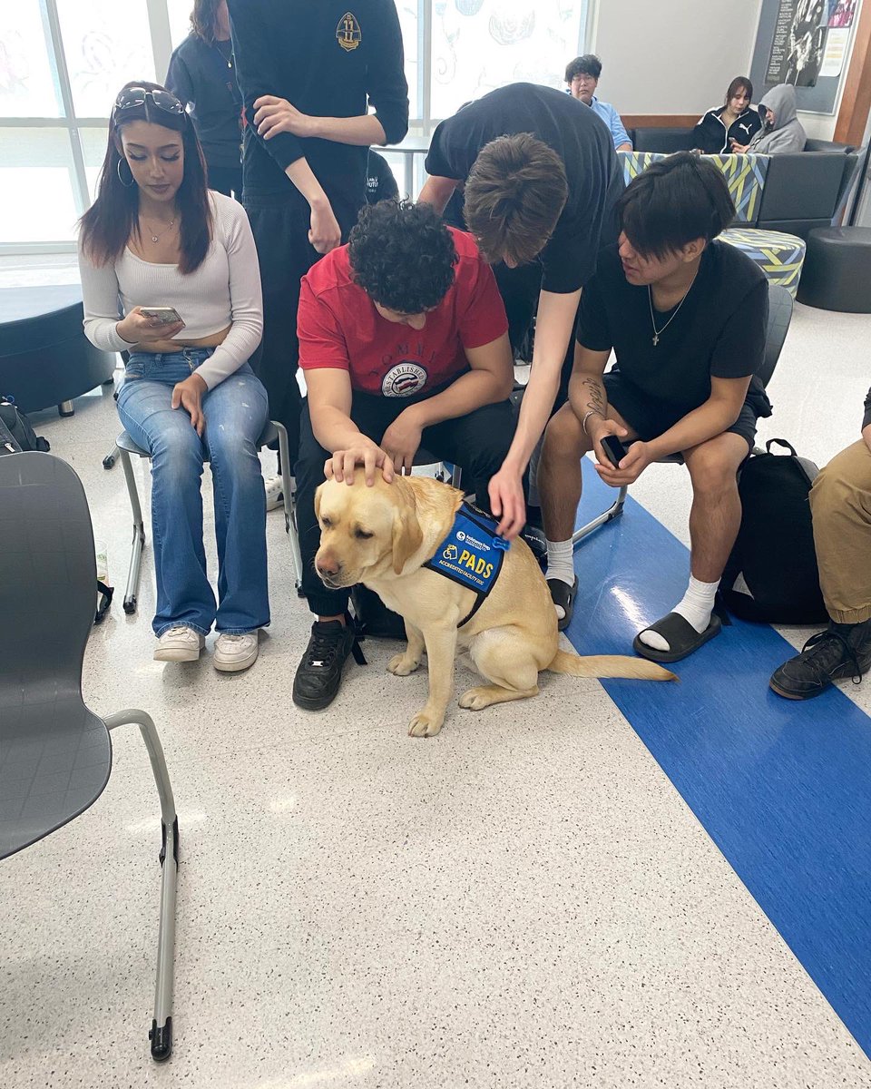 scott_academy's tweet image. There are so many reasons we are grateful for our partnership with @reginapolice 

This week staff &amp;amp; students had a chance to interact with members of RPS including @padsk9sinclair , the Organized Crime Unit and the Indigenous Recruitment Officer.