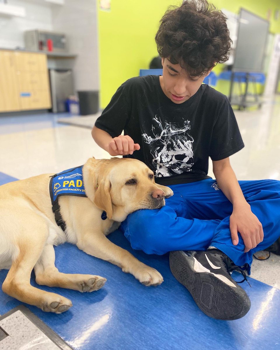 scott_academy's tweet image. There are so many reasons we are grateful for our partnership with @reginapolice 

This week staff &amp;amp; students had a chance to interact with members of RPS including @padsk9sinclair , the Organized Crime Unit and the Indigenous Recruitment Officer.