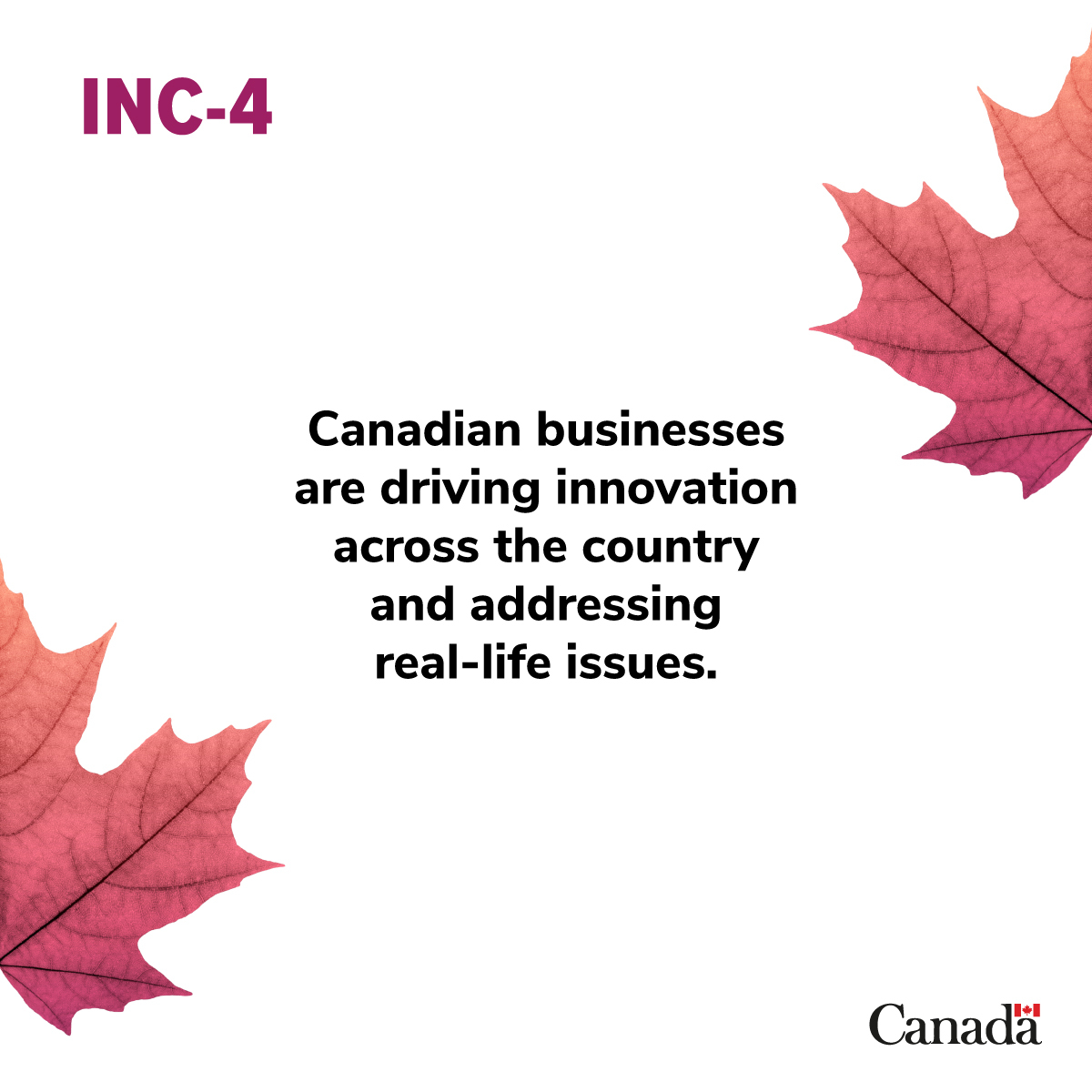 Everyone plays a role in reducing plastic waste and pollution. We are investing more than $3.3M to support 21 Canadian companies in developing innovative solutions to help #BeatPlasticPollution. For more details: ow.ly/P20V50RmEnh