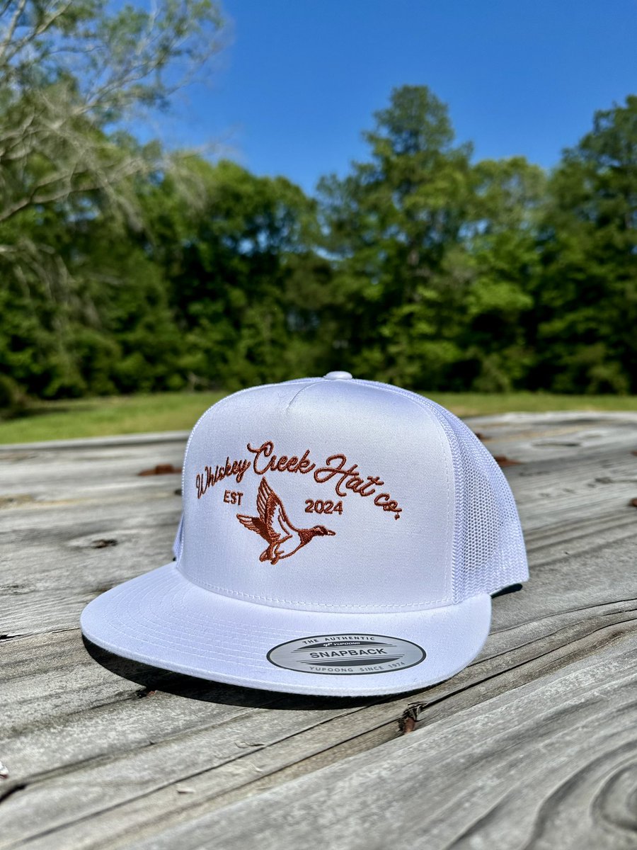 swayde 🤠 tweet media