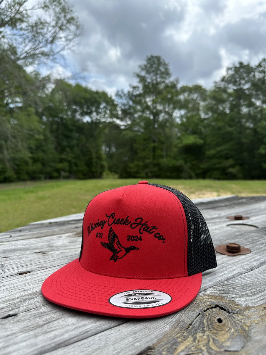 swayde 🤠 tweet media