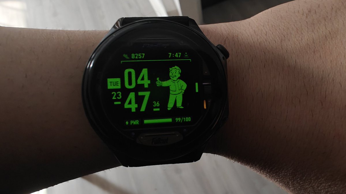 Ready to take on the Wasteland with my watch face xS