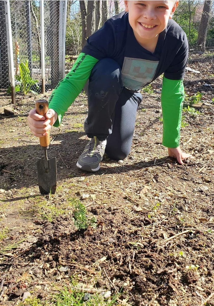 K_5_LMS's tweet photo. Your GHR friends in CT thank you @trees4kids! Over 150 Cedar Pines gifted here in our town. Happy Earth Week to all!  🌏 @GhrPrincipal @SchoolsCoventry https://t.co/lSnqpO0XSm