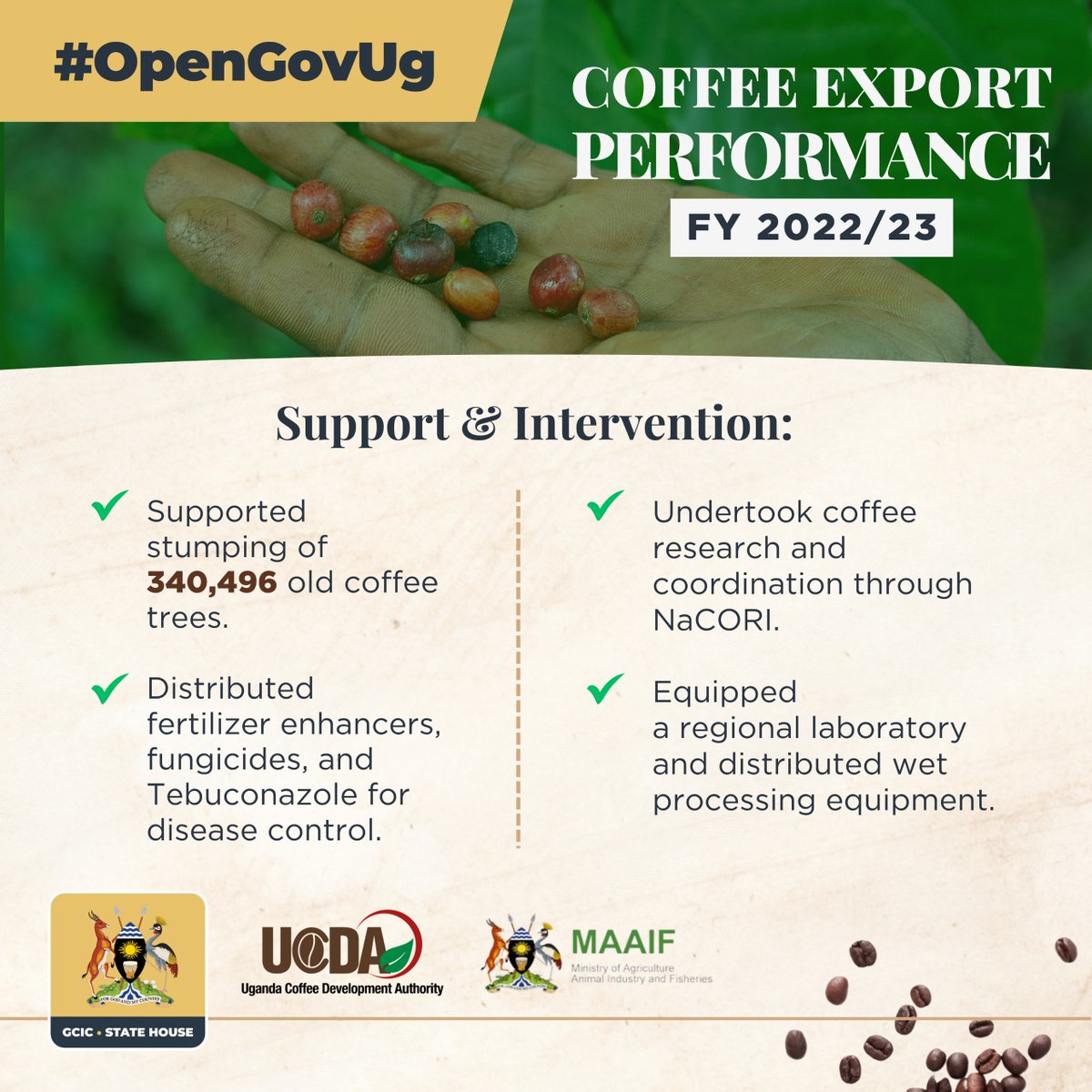 .@CoffeeUganda supported the removal of 340,496 old and unproductive coffee trees, with 335,353 trees in the Western region by 342 farmers and 5,143 trees in the Northern region by 20 farmers,while also assisting NaCORI in conducting coffee research and coordination. #OpenGovUg