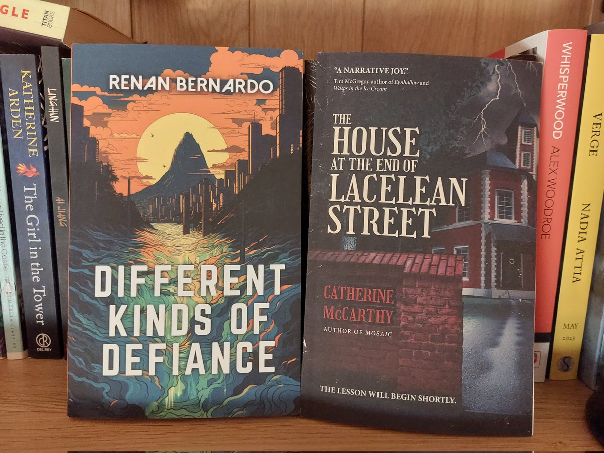 New books! 😍 Two exciting ones from @serialsemantic and @RenanBernardo, looking forward to reading both soon! 📚👀🤗