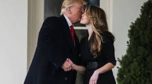 MagaBoogerEater's tweet photo. @KatiePhang Buh bye mushroom man. Trump wanted Hope soooo bad. Lord I wish there were video cameras in this court. Again, pay-per-view could help fund part of our national deficit. I would pay to watch Mango Mussolini’s face when Hope throws him under the #JusticeBus 🚌 #TheShartOfTheDeal https://t.co/clxDpCXOL9