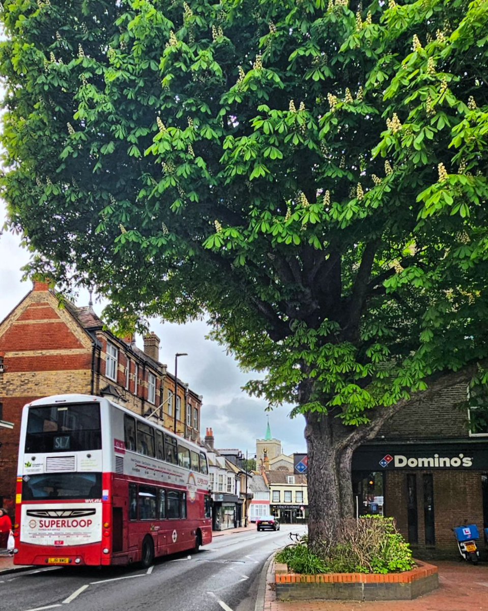 A slice of Carshalton. Blossom on the tree 🌳🌸 - featuring the slow7 (that's what SL makes me think of, sorry) and a certain pizza place with an annoyingly memorable jingle... ----------- PROMOTED: Woah, so many great places to go in Sutton!! ☕️🎨🌼 secretcarshalton.com/sutton-busines…