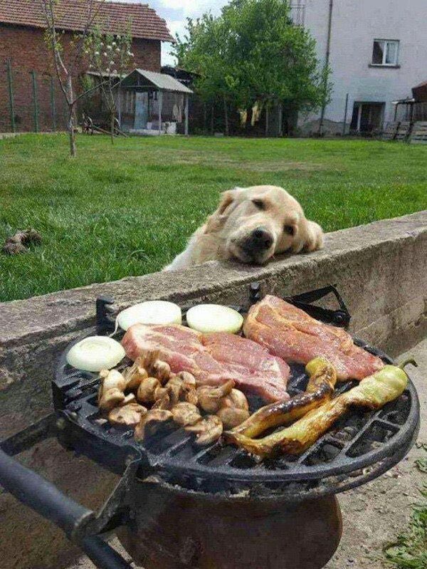 Find someone who looks at you like Roger looks at a barbecue.