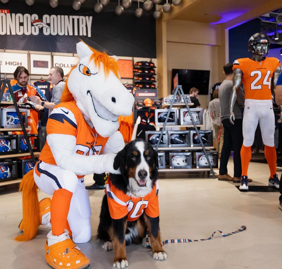 Some photos taken by my buddy @gchristus at the @Broncos Uniform Release Party! 🐶🧡🏈🐴 #BroncosCountry