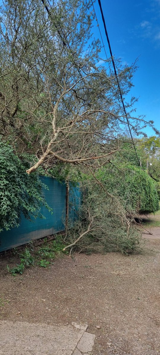 Hola <a href="/EpecOficial/">EPEC Córdoba</a>, pasaron a podar hoy y se olvidaron de descolgar las ramas que dejaron enganchadas en los cables y también de llevarse lo que podaron. Imagino que lo retirarán en menos de 24hs.