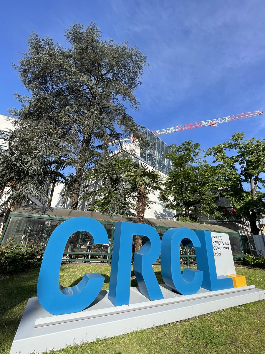 Jacky GOETZ tweet media