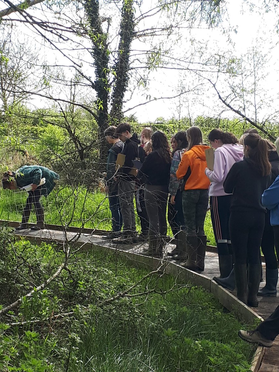 5th Year Biology students enjoying their ecology trip in Cabragh Wetlands Thurles. @cabraghwetlands