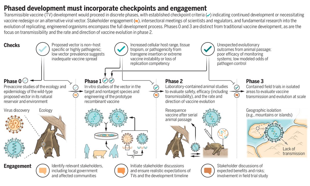 A new #SciencePolicyForum discusses the development of safe and effective transmissible vaccines for animal infectious diseases. scim.ag/6HR