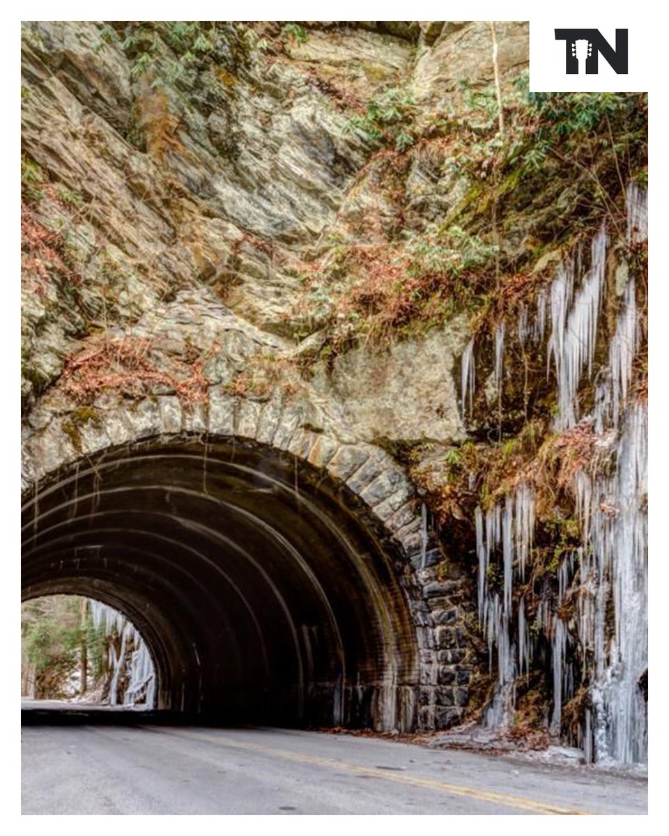 Known as 'The Peaceful Side of the Smokies,' Townsend is home to 1 of the 3 main entrances to Great Smoky Mountain National Park. The low-key town features several restaurants and small businesses, beautiful scenery and nature all around. See it here: bit.ly/4cnZNjq