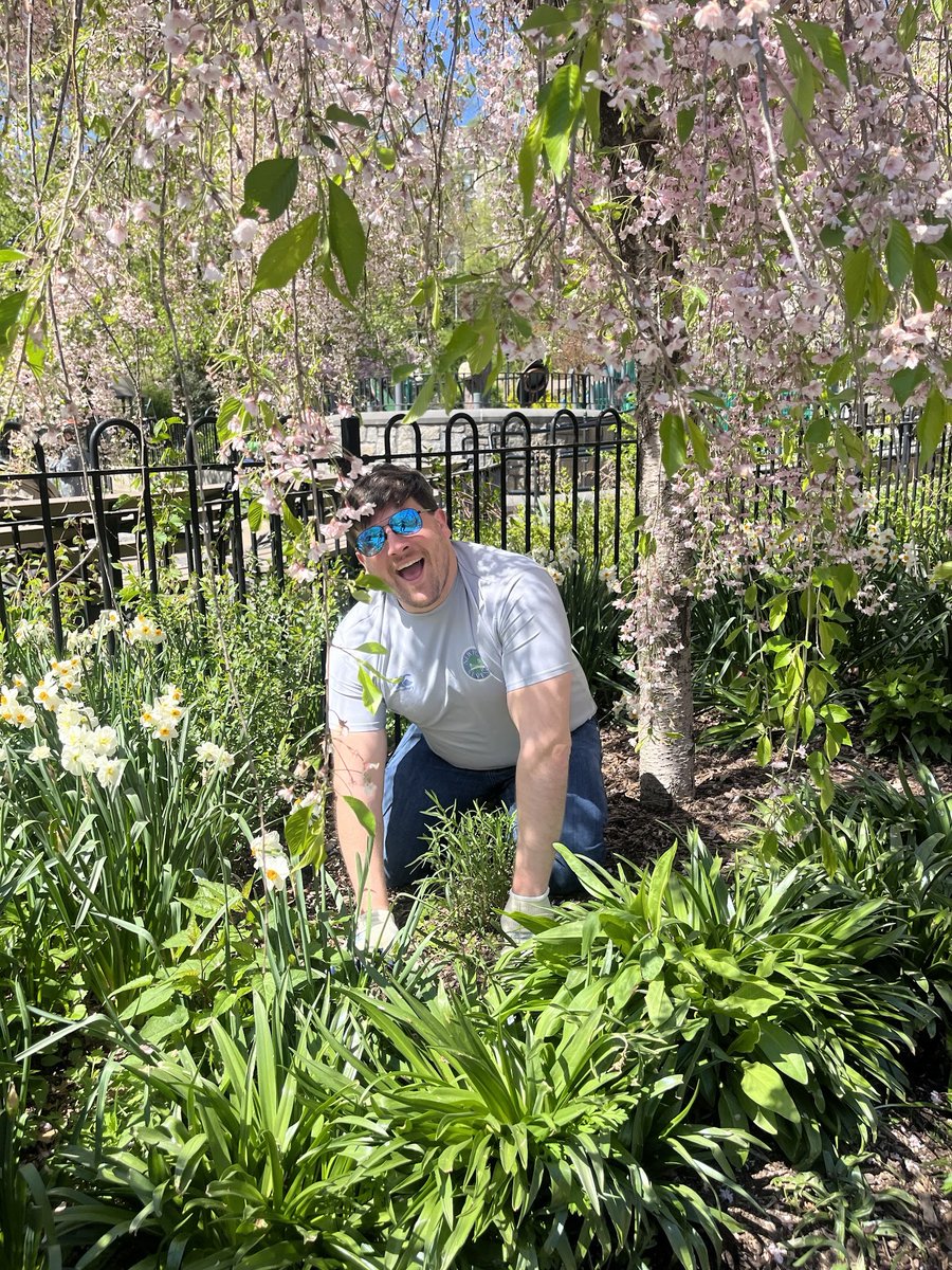 SGA (Boston | New York) tweet media