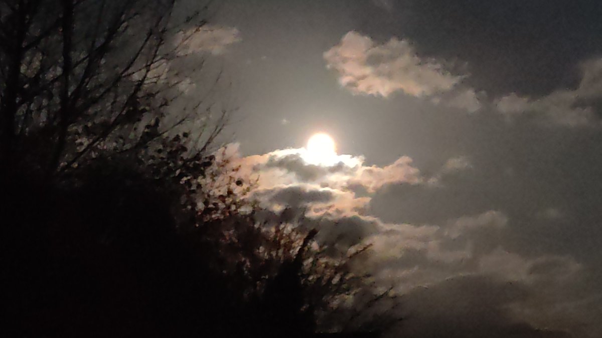 Beautiful full moon tonight. Called the Pink Moon 🌕