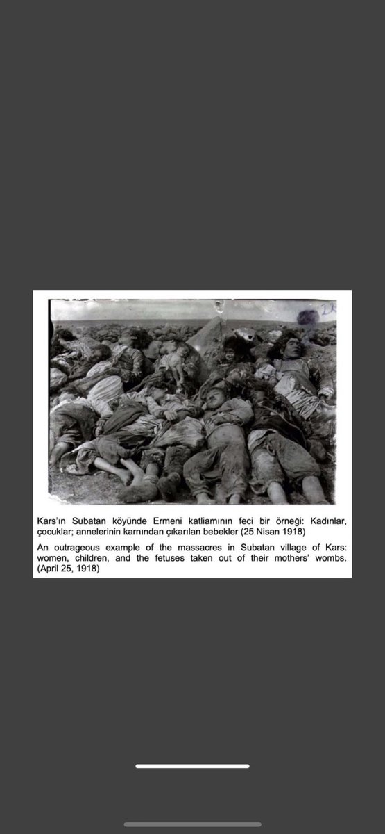 @YesVicken What people need to remember is the documented evidence not falsified propaganda that 2.4 million Turkish & Kurdish people were massacred by the Armenian Dashnaks & the treason they committed by aligning with Russia, in the act of invading the Ottoman Empire.