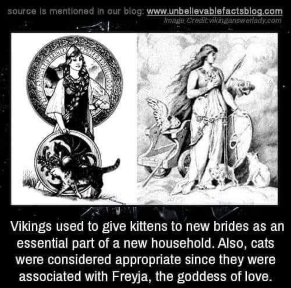 Viking truly new the way to a woman’s heart 😻😹