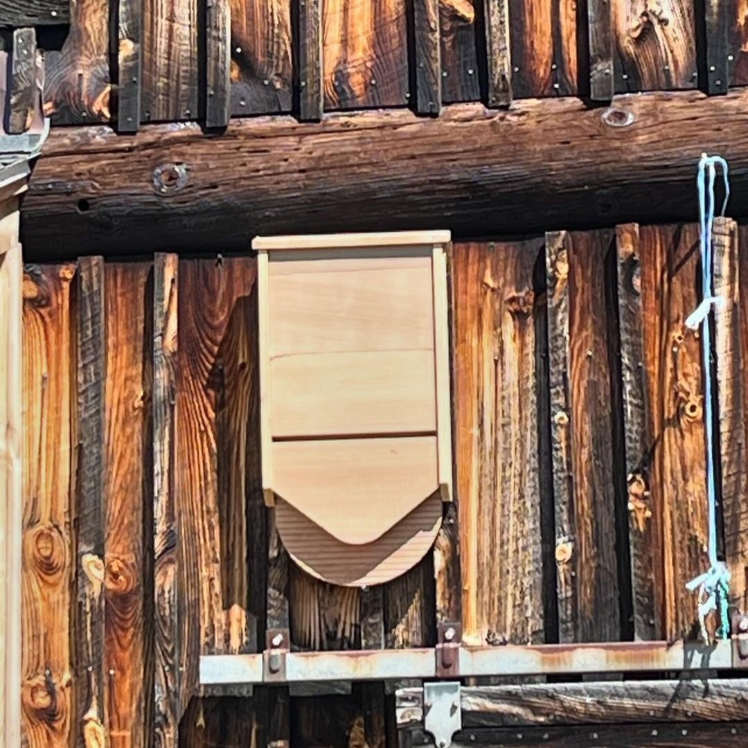 Introducing bat houses to your farm isn't just about charm—it's about embracing natural pest control and promoting ecological balance. Interested in sustainable farming? batbnb.com 📸: @serenitysanctuaryfarm (on IG)