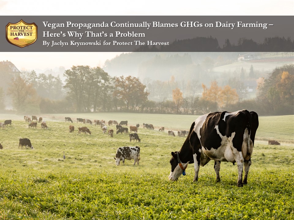 Vegan propaganda continually blames GHGs on dairy farming.

#dairy #dairycows #dairyproducts #greenhousegas #falsenarrative #nofarmsnofood #keepamericafeeandfed #freeandfedamerica

protecttheharvest.com/news/vegan-pro…