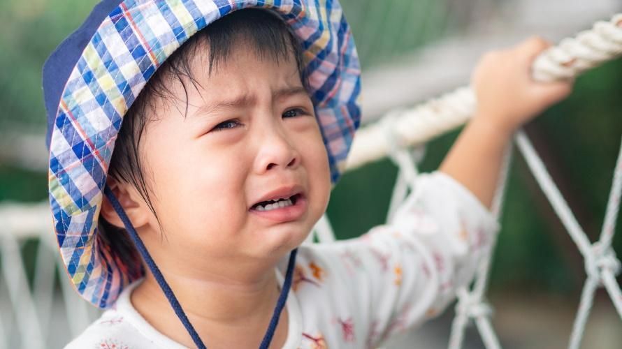 7 Simple Strategies to Tame Toddler Tantrums

Here are some gentle discipline techniques to ease those legendary meltdowns. 

parentmap.com/article/7-simp…

#earlychildhood #childdevelopment