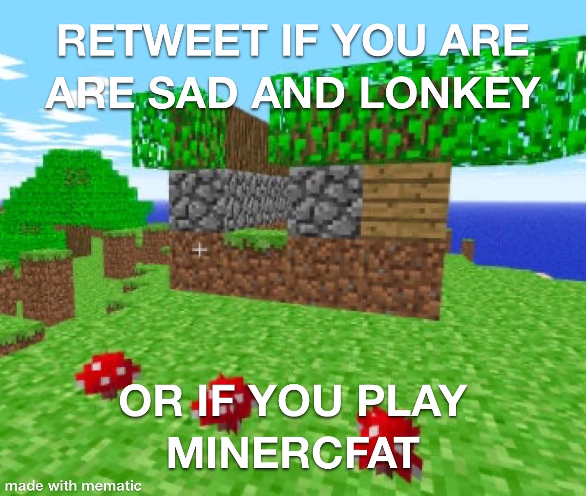 mysticat!! (@mysticatmewo) on Twitter photo 