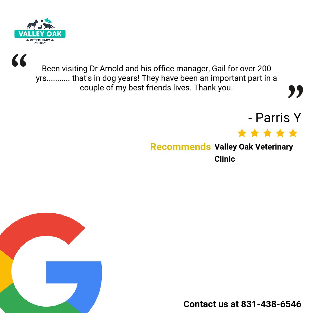 A happy customer. How has #ValleyOakVeterinaryClinic helped you? Share your story with us in the comment section. #reviews #testimonials #customerfeedback #GoogleMyBusiness