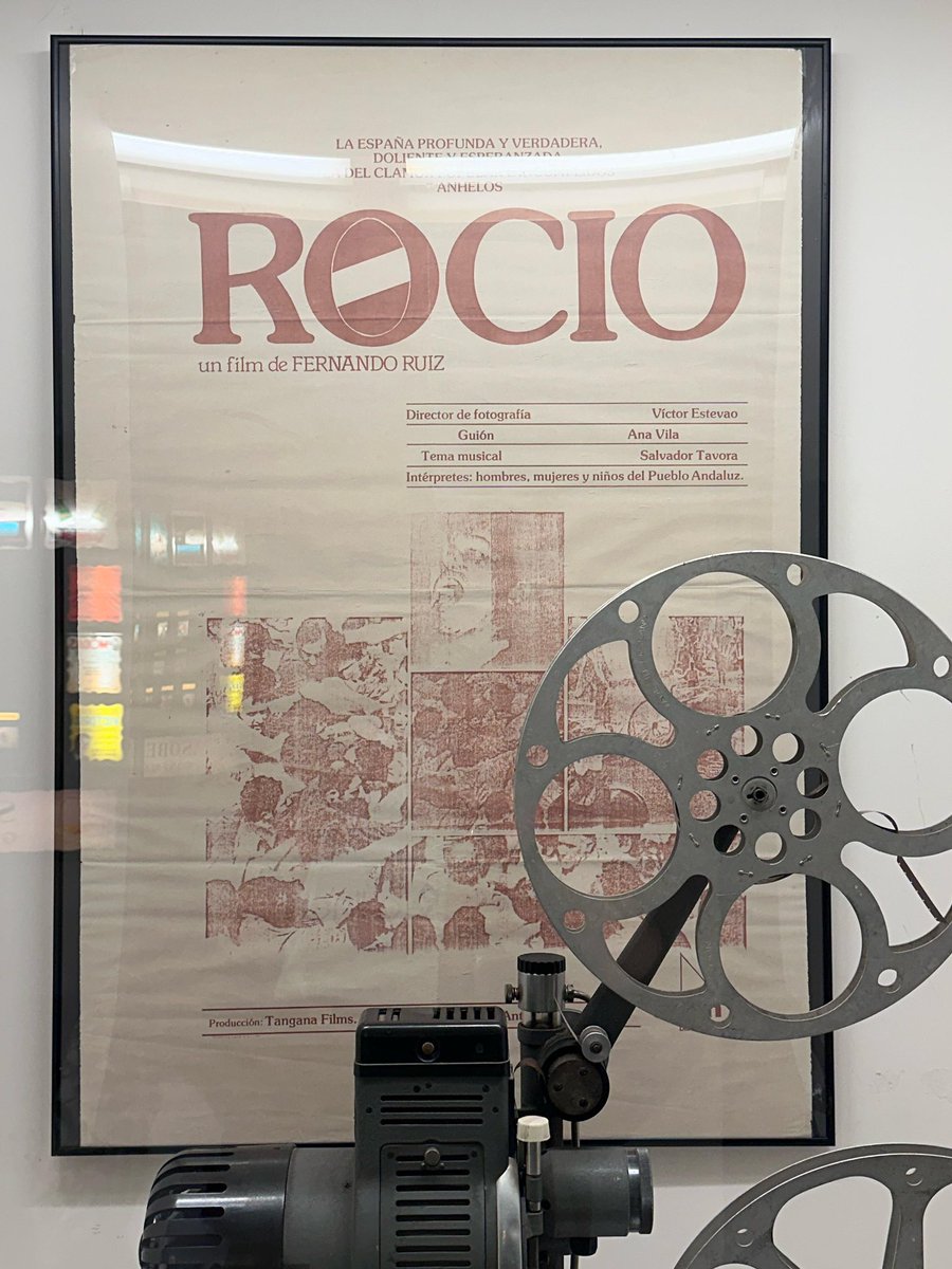 Patri1x2's tweet photo. .@crisiraberri y yo seguimos viaje por Andalucía con @NConcostrina como BSO por Doñana y el Rocío,y hoy @filmoandalucia de Córdoba nos recuerda que tenemos este documental pendiente ✊⬇️ https://t.co/wU9ilhxAL6