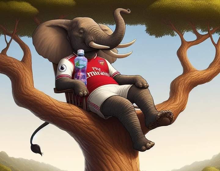 .😅What a week! President Kizza Besigye's Birthday was celebrated by millions of people, even those that rebuked him as they commenced on their political journey. They learned. Arsenal's stand to win the League, are stretching like a kangaroo.The Elephant is lonely at the top.