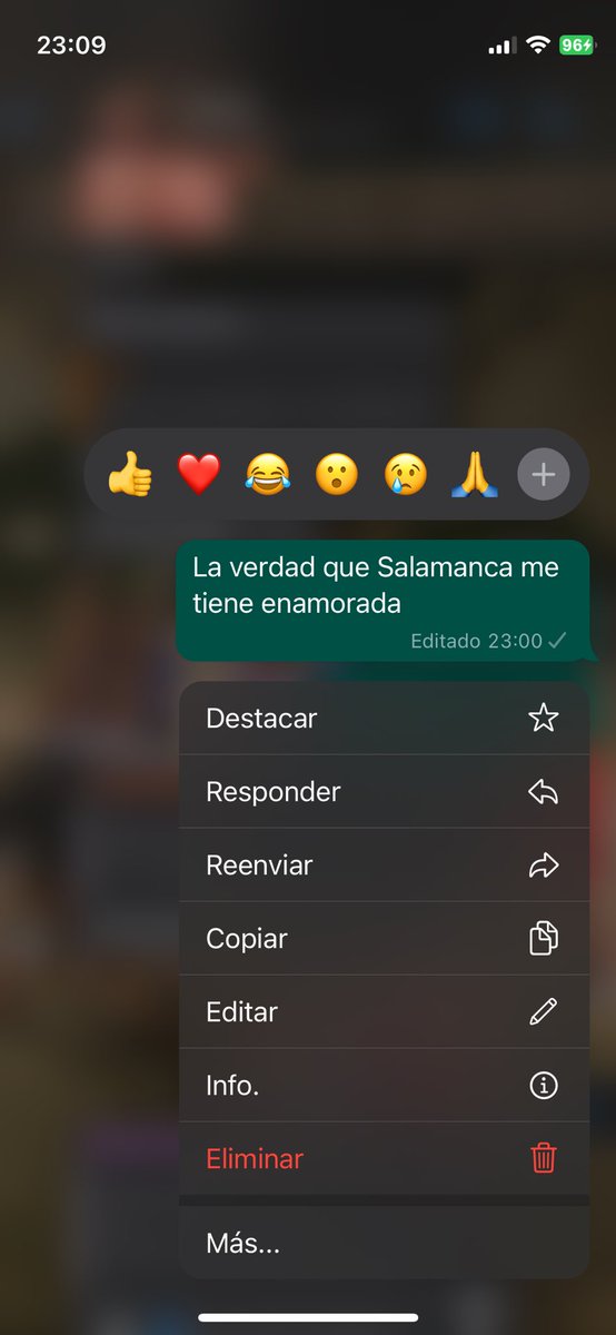 blancasls_'s tweet photo. Te vas a estudiar a Salamanca y te enamoras de esa ciudad de ensueño que te describía tu madre ❤️ https://t.co/QQc1oDhHXS