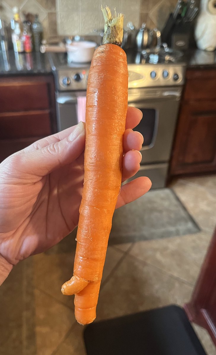 betinahbella's tweet photo. I have a carrot w a little pecker seems fitting on the day that David Pecker testifies against trump 🤭 #PeckerProblem #Carrot #TrumpTrials #PeckerLeaking https://t.co/wU1e6r1jJ0