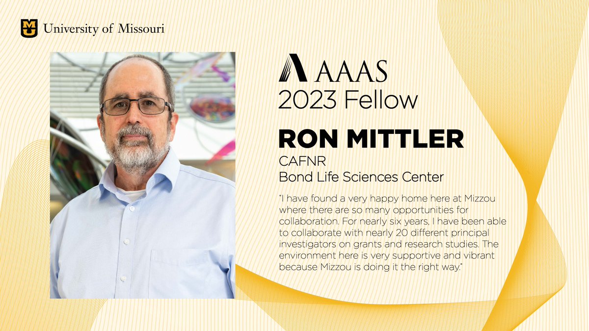 Congratulations to AAAS fellow and #Mizzou professor Ron Mittler of @cafnr & @BondLifeSci for being recognized for his significant breakthroughs in the study of plants. Learn more about the rest of the recipients and their research ➡️ brnw.ch/21wJ6B0