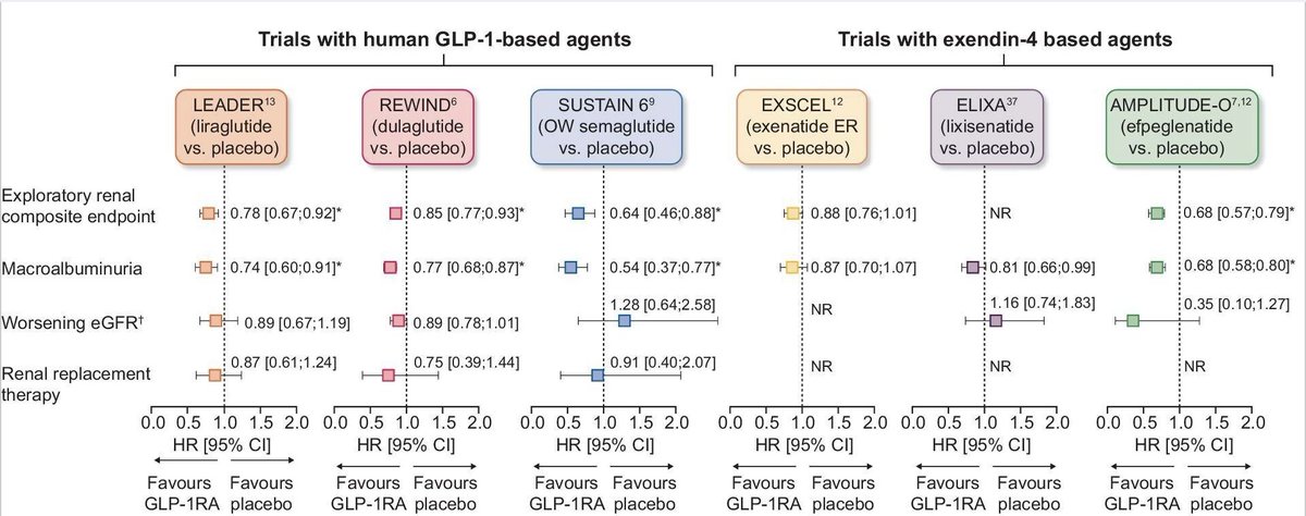 22) What do the large GLP-1 trials demonstrate in terms of kidney outcomes❓ 🔸data from the large Cardiovascular outcomes trials demonstrate ⤵️ macroalbuminuria ⤵️ exploratory renal composite outcomes ↔️change in eGFR ↔️need for renal replacement therapy ⚠️ not all 🧑‍🤝‍🧑 had #DKD