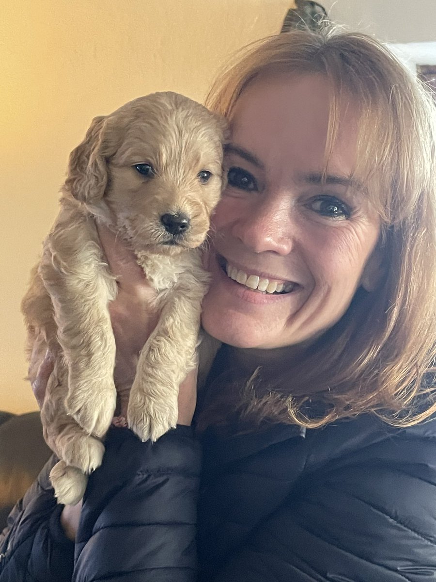 HeysParker's tweet photo. Tabitha is a dream pup.  Growing fast, she is funny, smart, kind and loved so very much 🩷 https://t.co/DYyJwylBqb