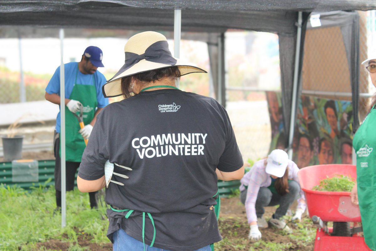 @LACityCollege celebrated #EarthDay at its urban farming community garden. Seeded by @ChildrensLA, the garden offers students hands-on gardening skills. The City's Garden continues to bring people together and create a habitat for wildlife.