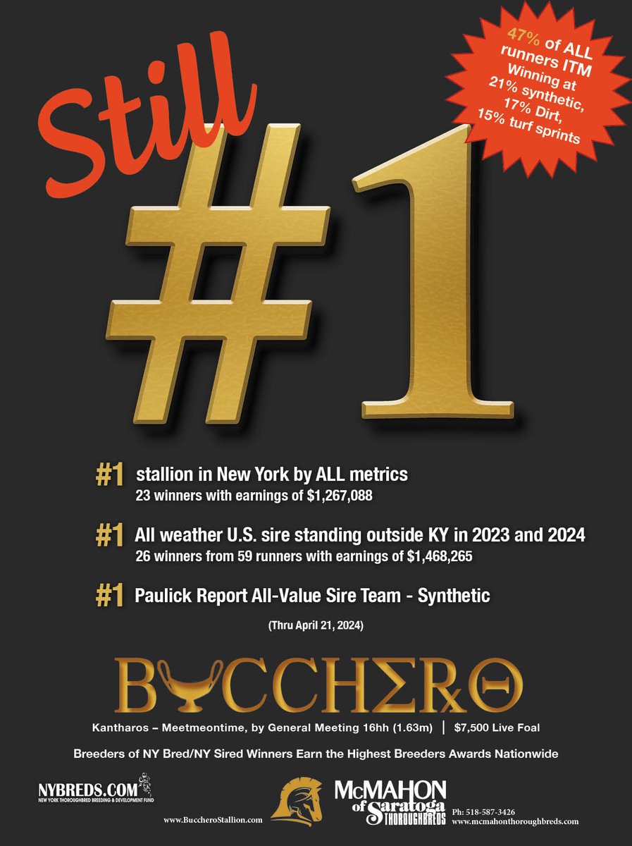 It is not too late to have a 1st crop NY Sired Bucchero. 100+ already booked for what is shaping up to be his best group of mares to date. BuccheroStallion.com