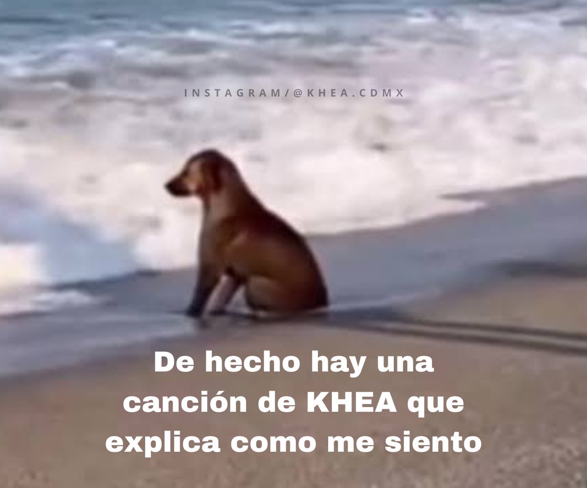 KHEA CDMX (@khea_cdmx) on Twitter photo 