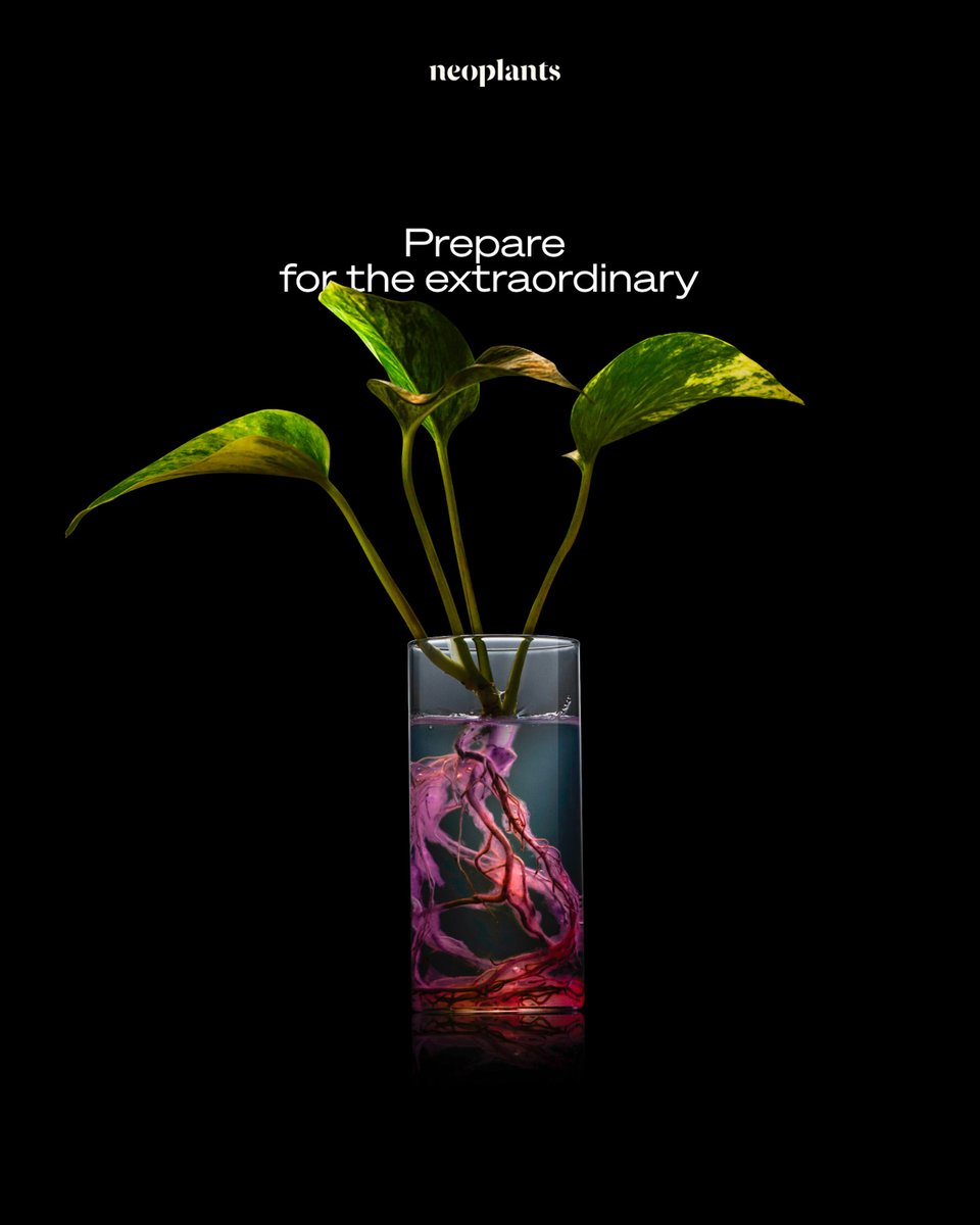 neoplants tweet media