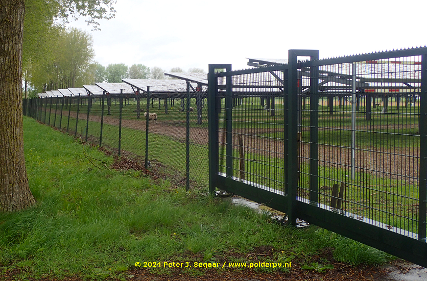 Polder_PV's tweet image. Alsof dat nog niet genoeg was, tussen de regenbuien door op naar het volgende enorme project. De, naar verluidt, grootste #solarcarport ter wereld, bij Walibi, Biddinghuizen (ja, wederom #Novar). Mit #solarschafe, natuurlijk ... 🐏