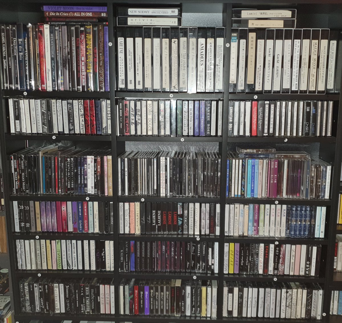 _Cantavanda_'s tweet photo. All organised!!!

This is the "favourites" section of my collection.

How many do you know? And can you spot the MALICE MIZER promo VHS tapes?! https://t.co/raJb9YllYU