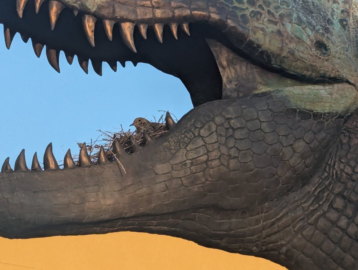 Taylor McCoy 🦖 (@tm9380) on Twitter photo “No one’s ever really gone.” “No one’s ever really gone.”