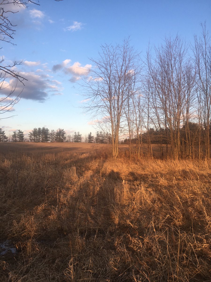 Sarah Harmer (@sarah_harmer) on Twitter photo Tonight! All candidates meeting for Provincial by-election at County Heritage Park, 8560 Tremaine Rd, Milton, 7pm. Mount Nemo needs an MPP who will stand against further industrialization of our UNESCO World Heritage Biosphere. <a href="/coreburlington/">Conserving Our Rural Ecosystems of Burlington Inc.</a> <a href="/RGMC_Ontario/">Reform Gravel Mining Coalition</a> #OnPoli Tonight! All candidates meeting for Provincial by-election at County Heritage Park, 8560 Tremaine Rd, Milton, 7pm. Mount Nemo needs an MPP who will stand against further industrialization of our UNESCO World Heritage Biosphere. <a href="/coreburlington/">Conserving Our Rural Ecosystems of Burlington Inc.</a> <a href="/RGMC_Ontario/">Reform Gravel Mining Coalition</a> #OnPoli