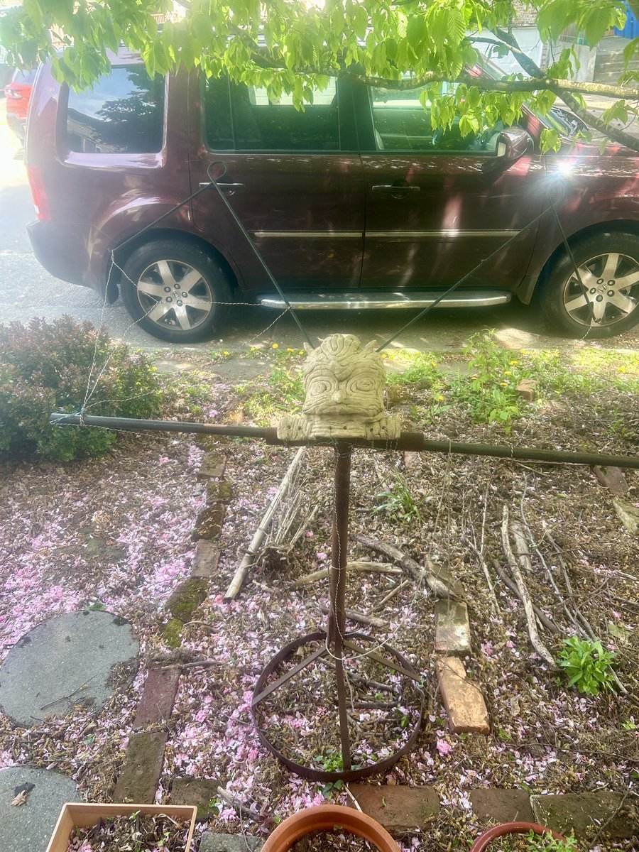 KaleighCarrolll's tweet photo. On a scale of 1-10, how scared should I be of this thing that popped in my neighbors garden? https://t.co/CUQRjjX3kK