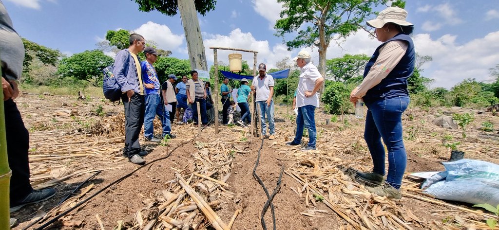 FAOElSalvador tweet picture