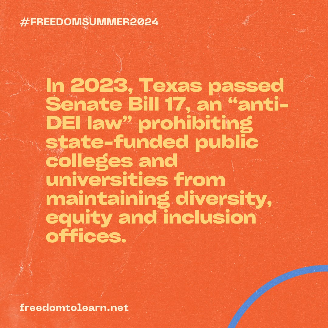 Here are 4 Things to Know About DEI #FreedomSummer2024