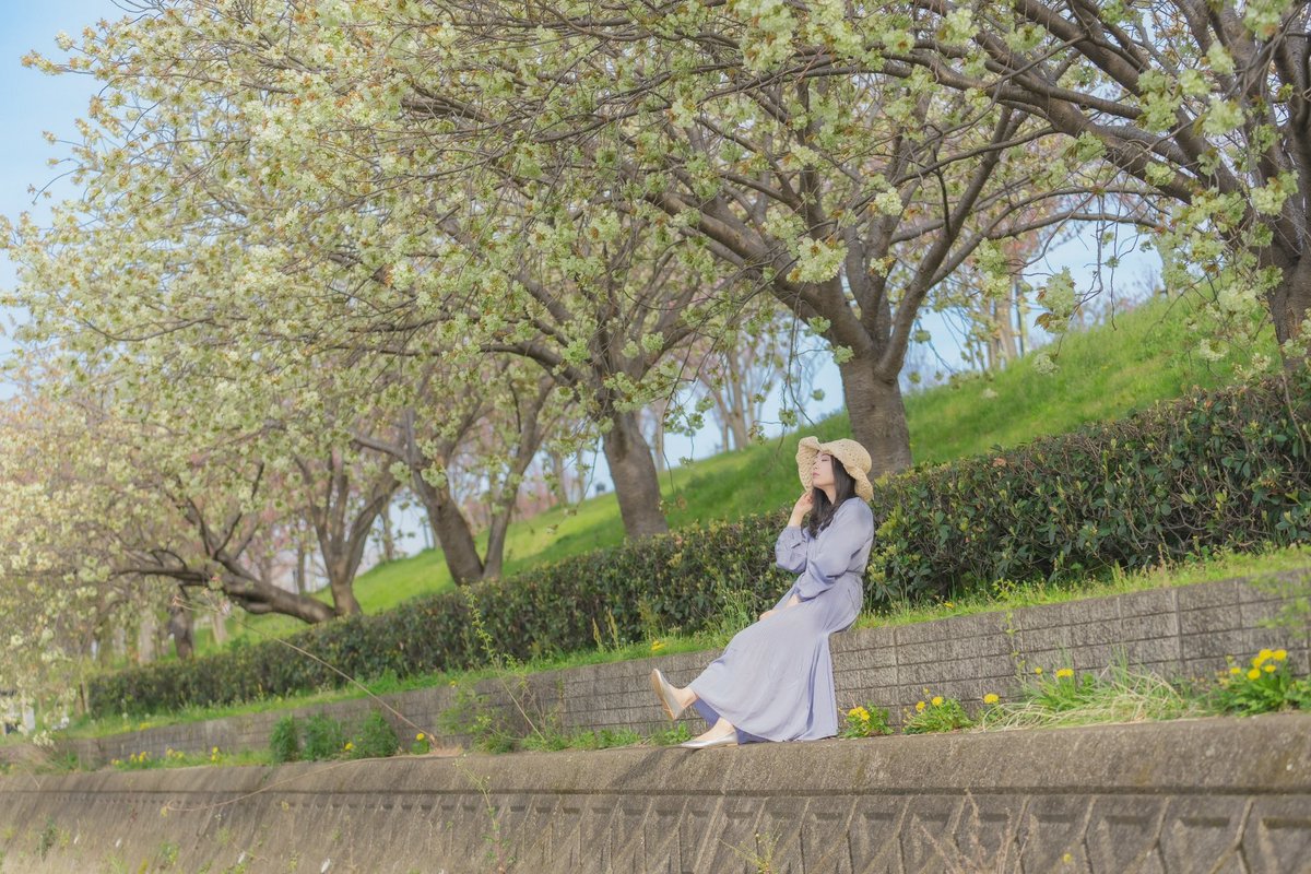 2024年撮影 モデル：朝桐まりのさん @marino_asagiri 鬱金桜の並木道 #ポートレート #portrait