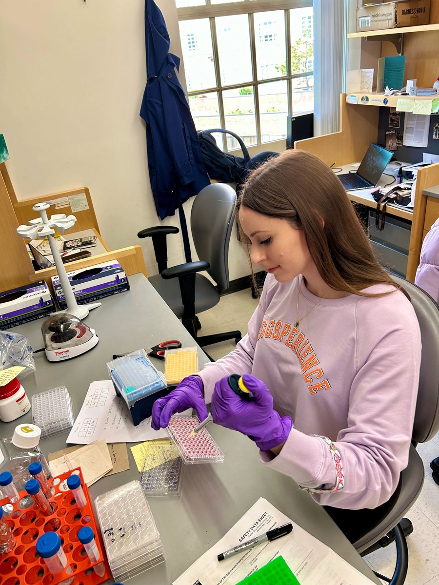 Ashley N. Abel tweet media