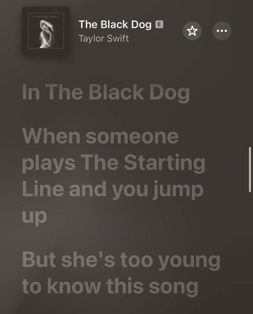 How did I just realise Taylor mentions @TheStartingLine in Black Dog 🐕?!!! #TTPDAnthology #TTPD